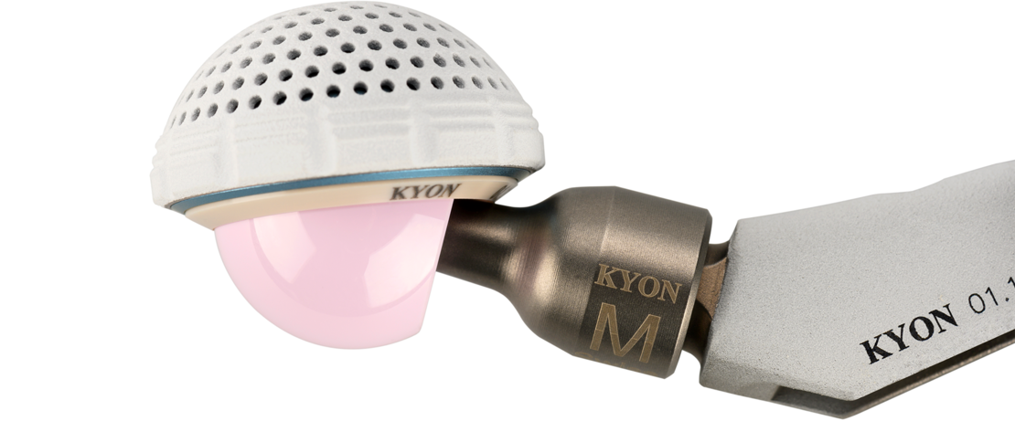 The latest generation of cementless hip prostheses for permanent use in dogs and cats from the Swiss company KYON. At the heart of the innovative technology is a friction partner made of Evonik's VESTAKEEP® PEEK biomaterial. (©KYON)